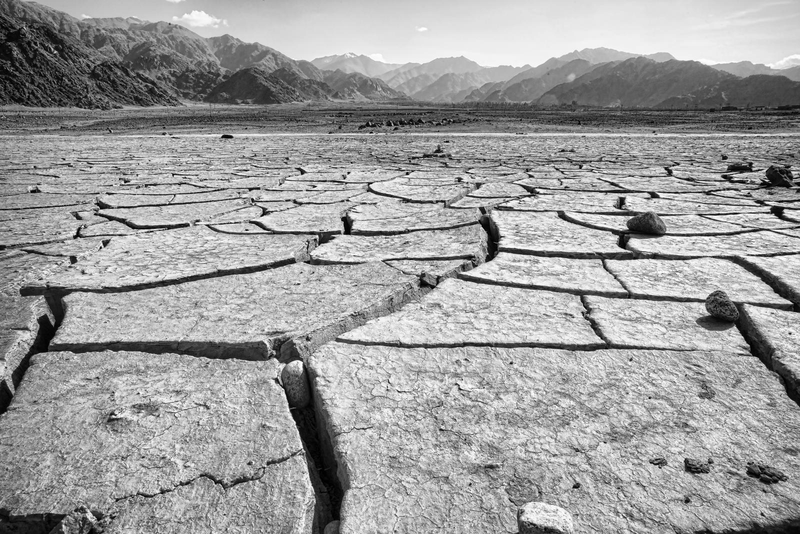 Cracked_Earth_in_Ladakh_(2014)